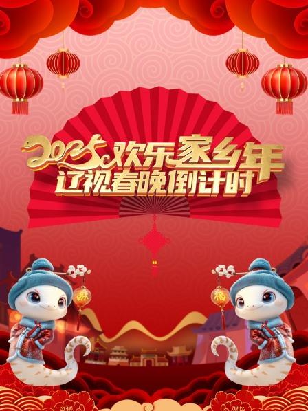 辽视春晚倒计时欢乐家乡年 2025