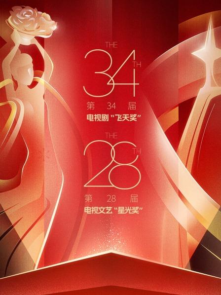 中国电视剧飞天奖暨星光奖 2024
